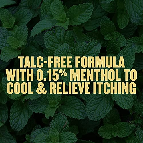 Gold Bond Talc-Free Medicated Body Powder, Original Strength, 4 Oz (Pack of 4)