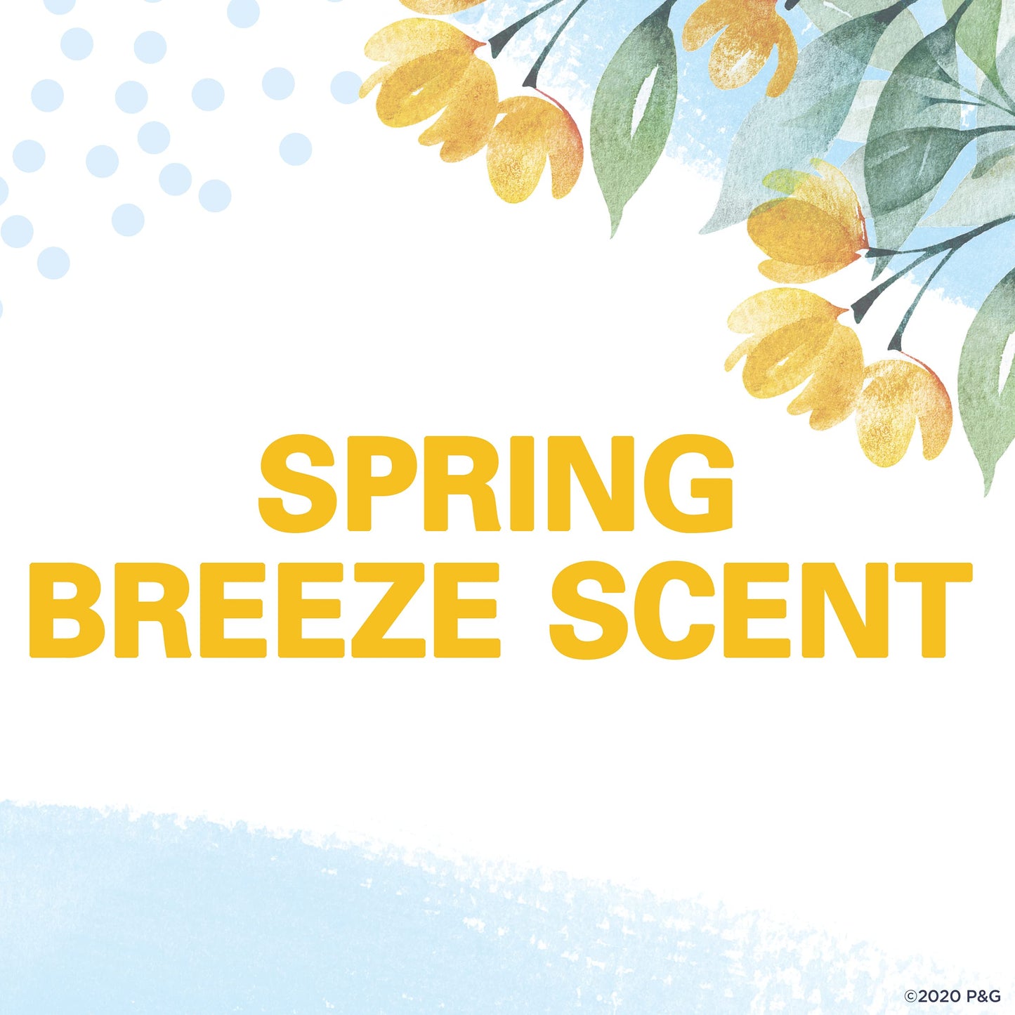 Secret Antiperspirant and Deodorant for Women, 24hr Sweat & Odor Protection, PH Balanced Protection, Gentle on Skin, Invisible Solid, Spring Breeze Scent, 2.6 oz (Pack of 12)
