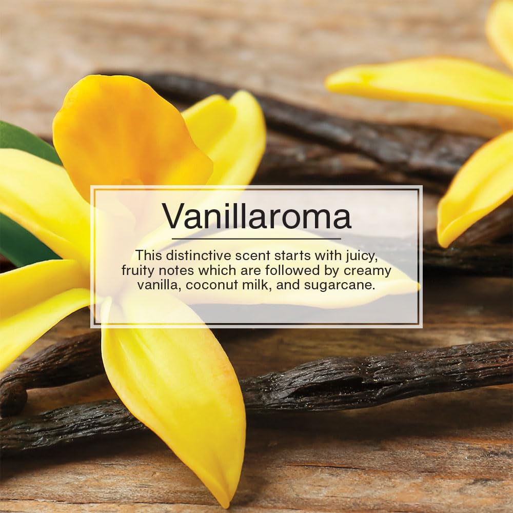 LITTLE TREES Car Air Freshener | Vent Wrap Provides Long-Lasting Scent, Invisibly Fresh!