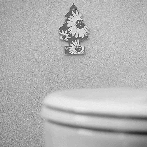 LITTLE TREES AREA_DEODORIZER