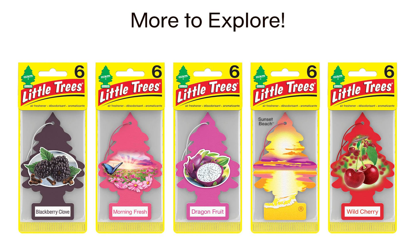 LITTLE Air Fresheners Car Air Freshener. Hanging Tree Provides Long Lasting Scent for Auto or Home