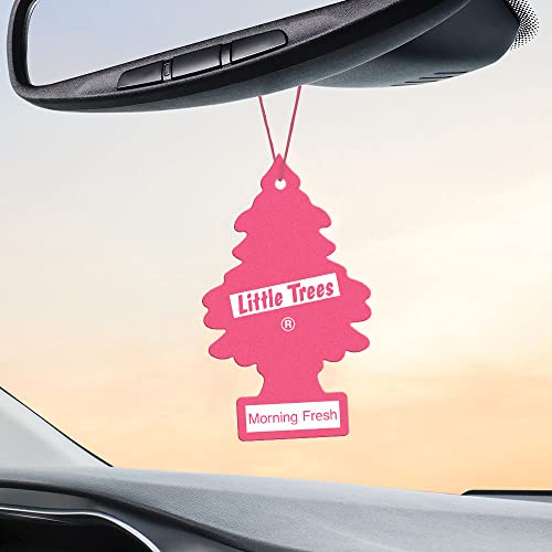 LITTLE Air Fresheners Car Air Freshener. Hanging Tree Provides Long Lasting Scent for Auto or Home
