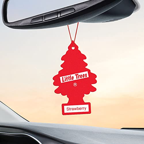 LITTLE Air Fresheners Car Air Freshener. Hanging Tree Provides Long Lasting Scent for Auto or Home