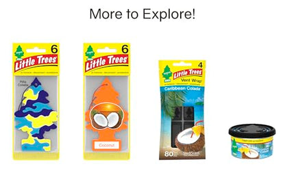 LITTLE Air Fresheners Car Air Freshener. Hanging Tree Provides Long Lasting Scent for Auto or Home