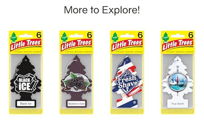 LITTLE Air Fresheners Car Air Freshener. Hanging Tree Provides Long Lasting Scent for Auto or Home